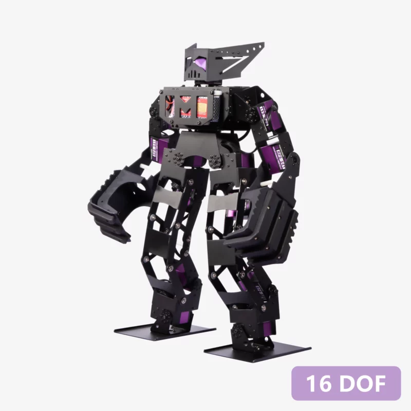 Humanoid Robot (Joe Boxer) Kit