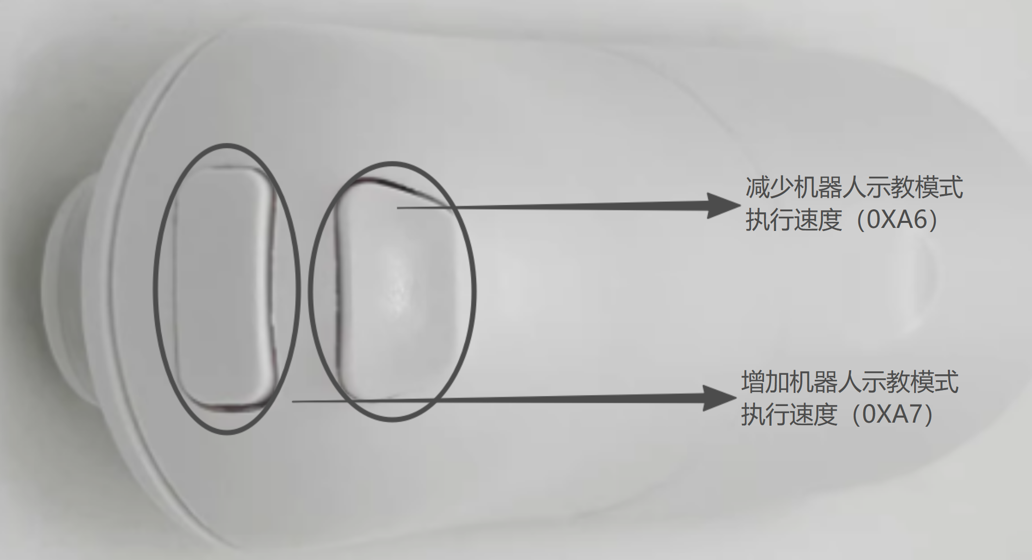 结构展示与默认 ID(补充)